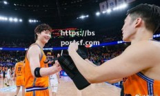 bsports体育-进攻配合默契，球队击败对手晋级